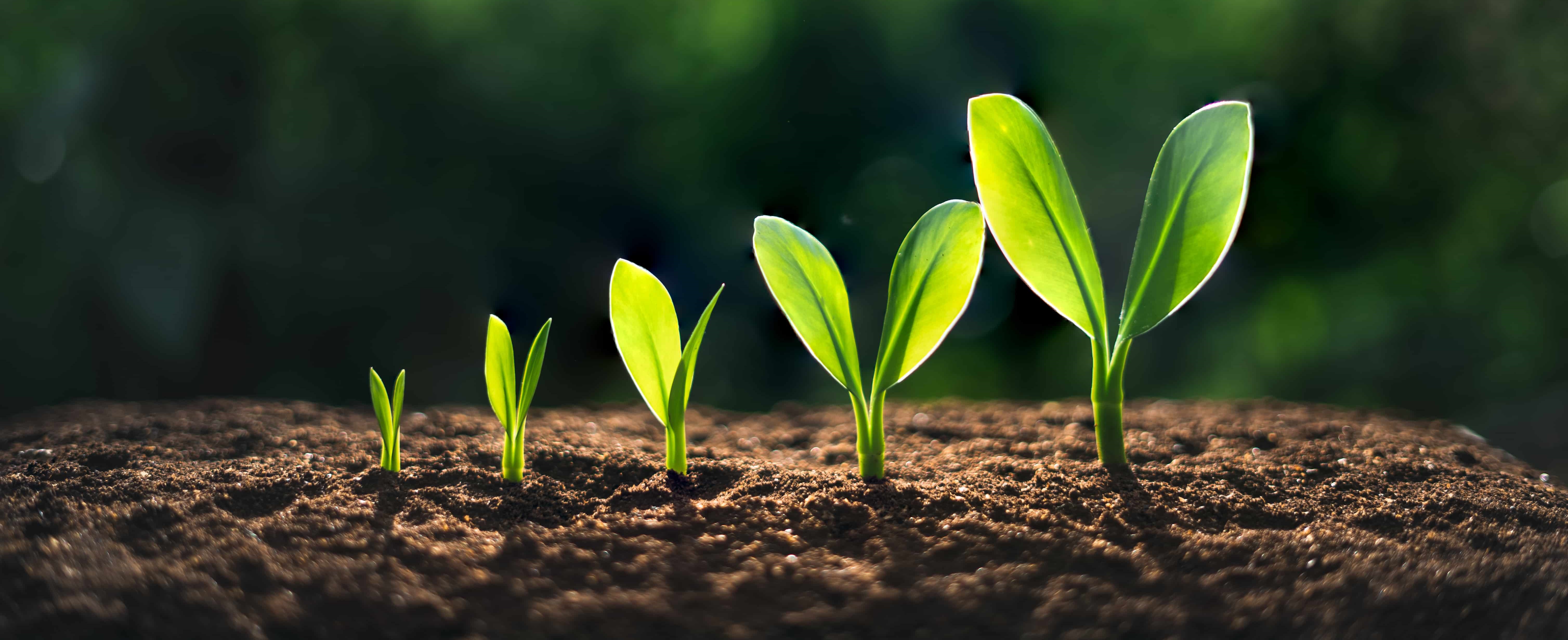 Estacion meteorologica conectada con LoRa