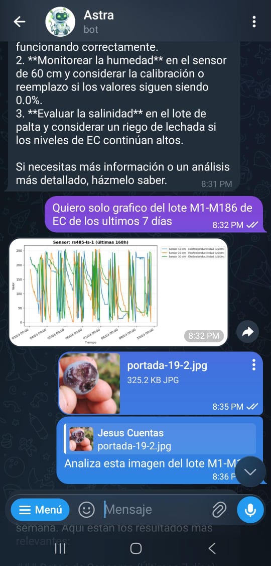 Asistente IA de AstraSense operando en Telegram